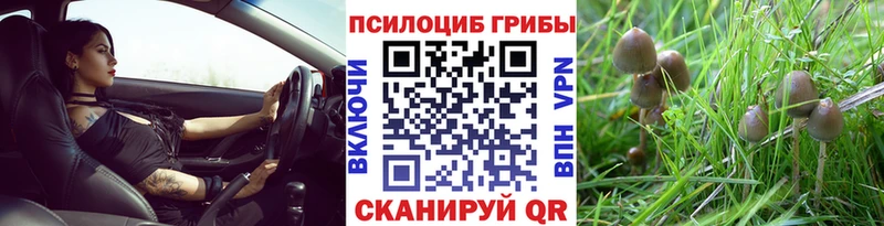 Галлюциногенные грибы Magic Shrooms  Карабаново 